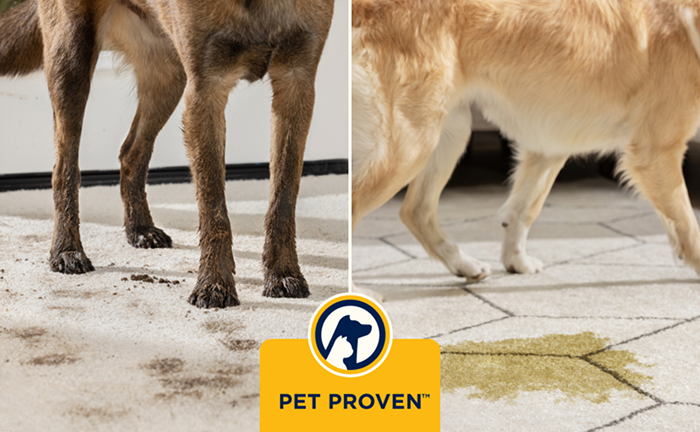 Certificazione Pet Proven