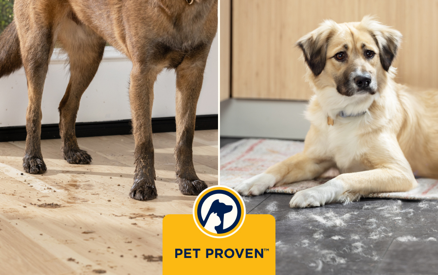 Studiato per pulire con cura i pasticci degli animali domestici