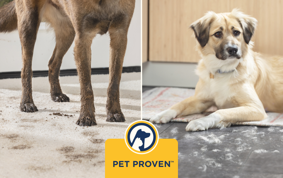 Studiato per pulire con cura i pasticci degli animali domestici