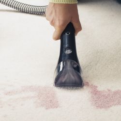 SpotClean ProHeat